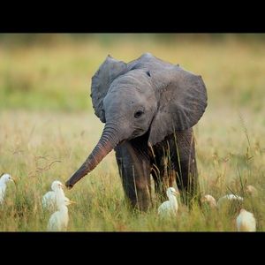 MAKE OFFERS NEED MONEY FOR MISSION TRIP